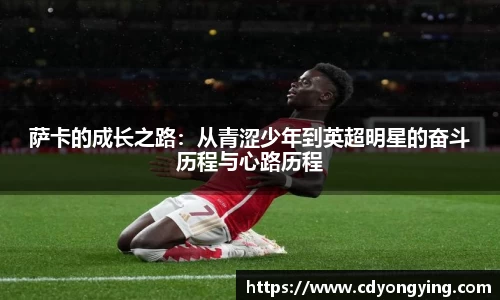 MK体育